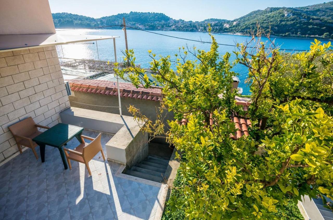 Violic Apartments Zaton  Exterior photo